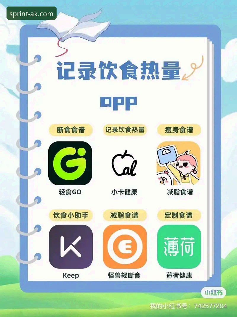AK体育APP安卓2025功能详解：从数据追踪到界面交互的全面升级